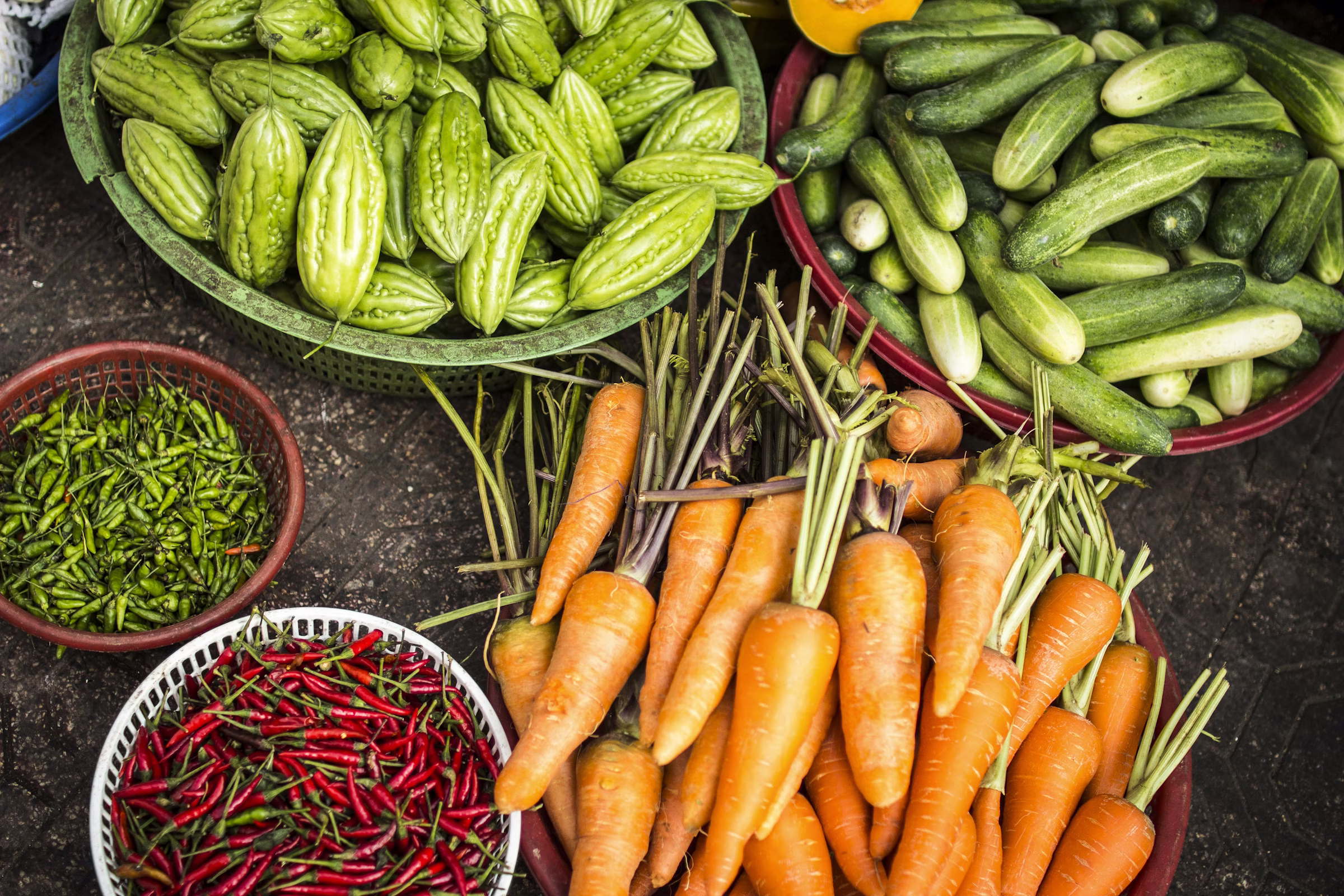 Agricultural environments shaped through sustainable land intelligence.