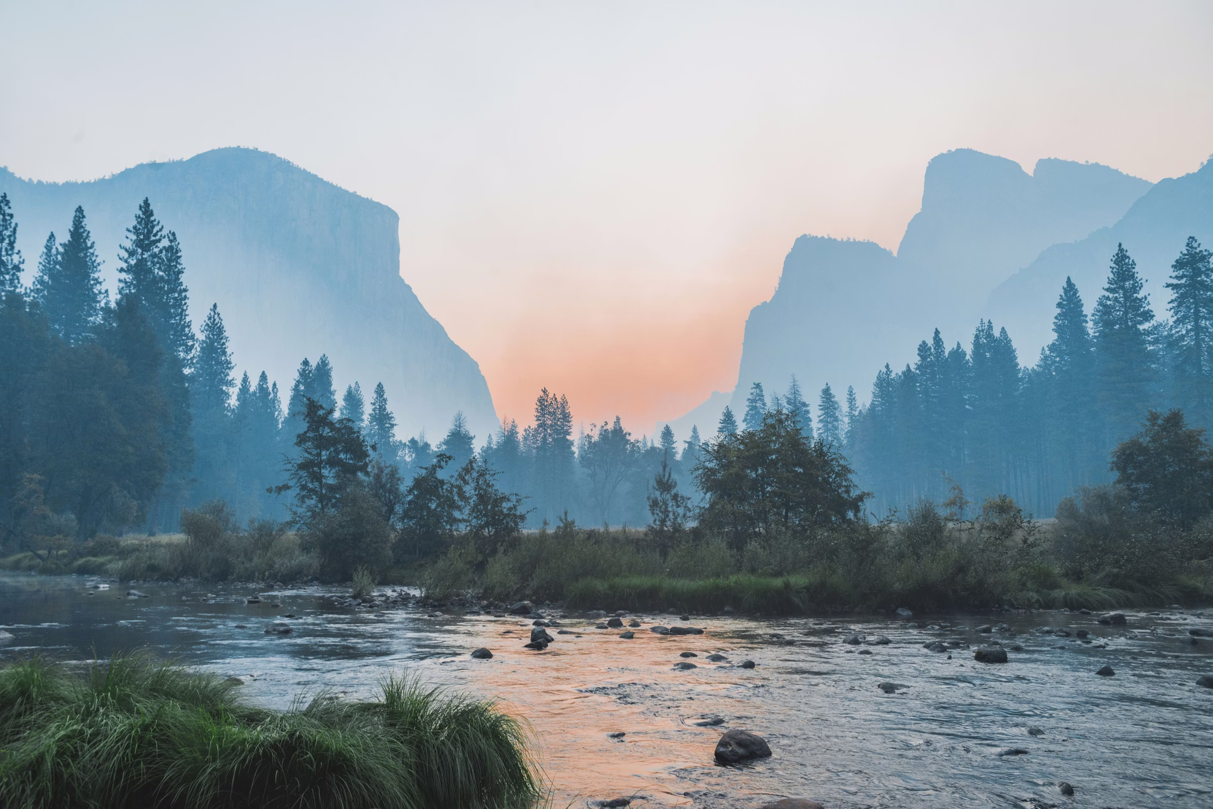 Luxury ecosystem landscape