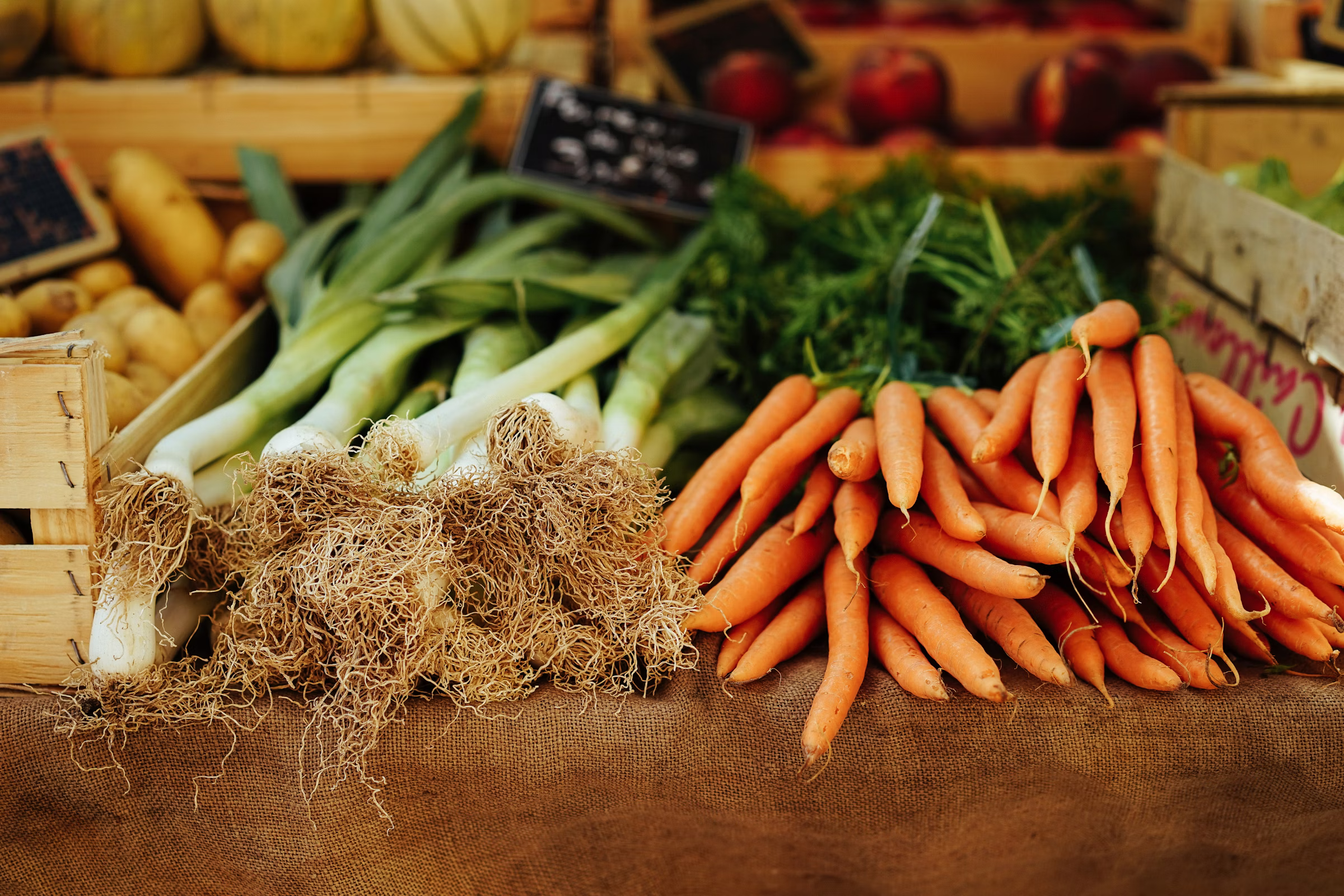 Ecological agricultural systems supported through responsible resource planning.