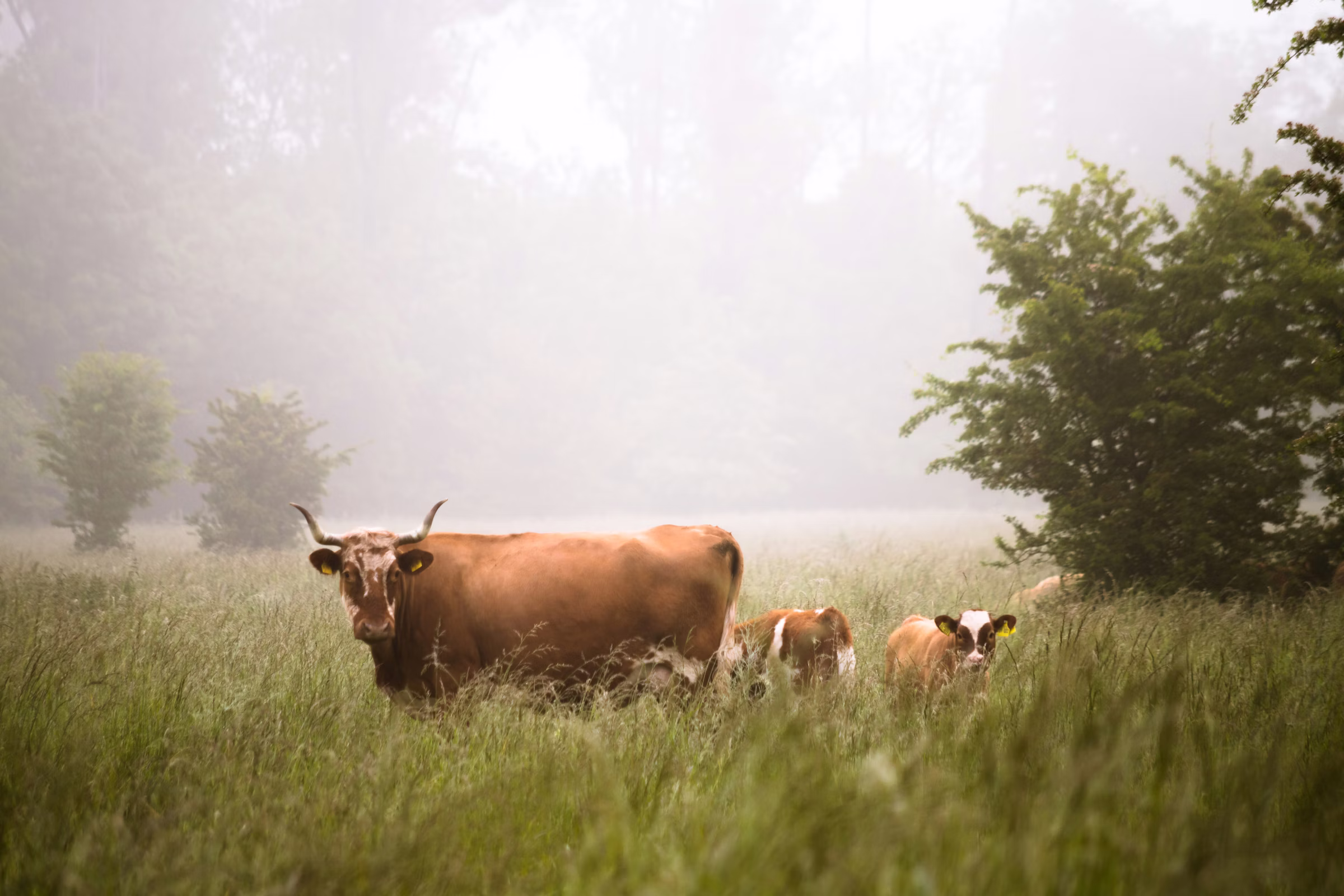 Ecological agricultural systems supported through responsible resource planning.